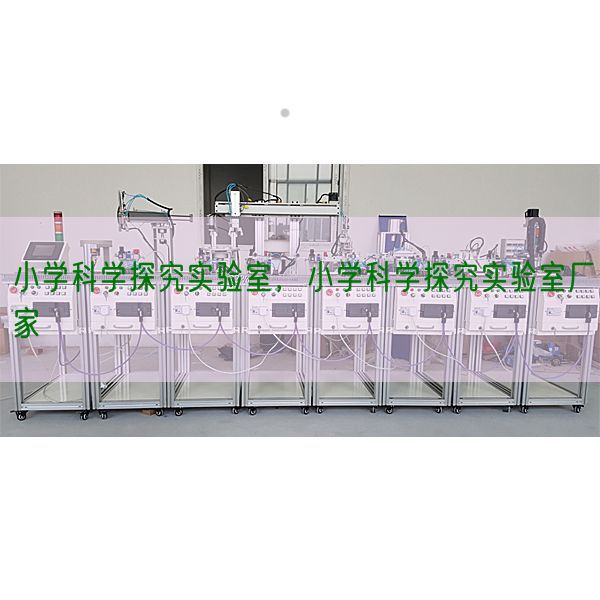 小學(xué)科學(xué)探究實(shí)驗(yàn)室，小學(xué)科學(xué)探究實(shí)驗(yàn)室廠家(圖1)